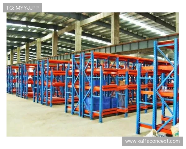 凯发娱乐网址官方地址最新入口，安全可靠的登录指南推荐